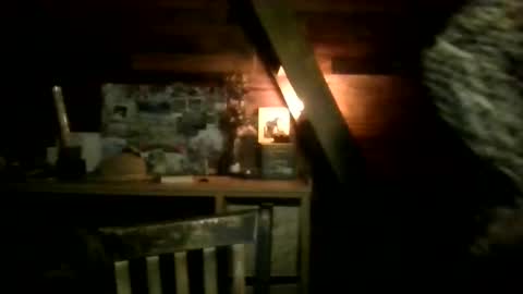 Nola online show from 03/13/26, 02:40