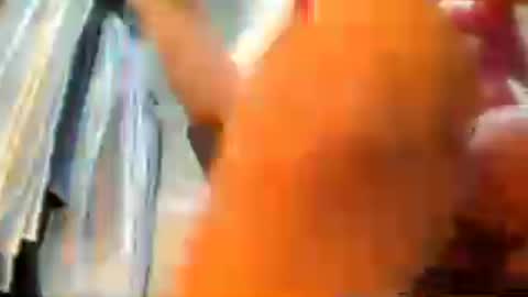 nolimitger online show from 06/25/26, 10:03