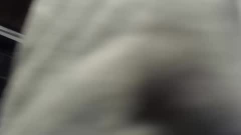 Snapshot of nombah_ chatting on 12/16/25, 01:21 nombah_ online show from 12/16/25, 01:21