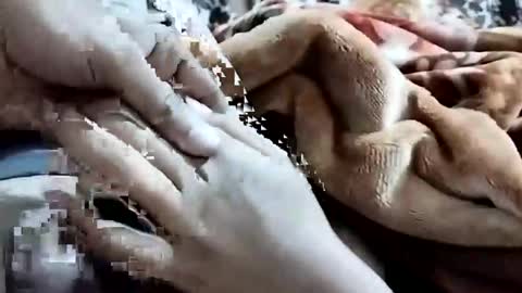 sim  nib online show from 02/01/26, 01:15