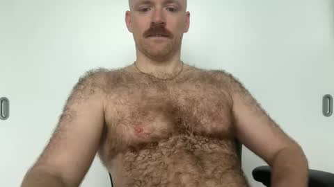 No Plan online show from 01/08/26, 02:41