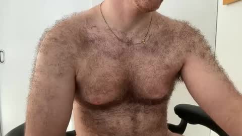 No Plan online show from 02/01/26, 01:53