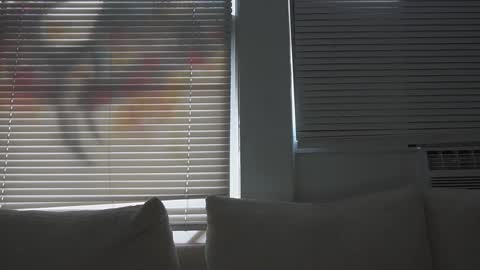 not_alexstone online show from 10/07/25, 10:18