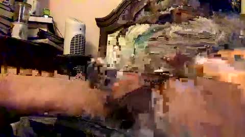 nothingclever1003 online show from 01/16/25, 07:38