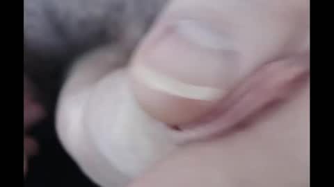 Alex Richardson online show from 12/18/24, 06:46