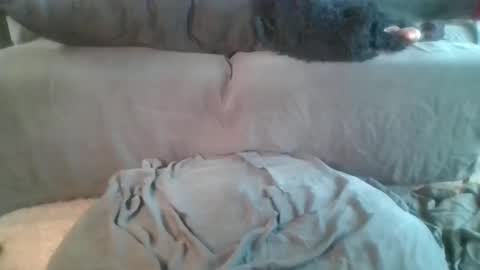 Nova online show from 04/19/26, 06:10