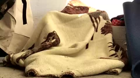 Snapshot of nuevotiempo chatting on 02/23/26, 12:57 nuevotiempo online show from 02/23/26, 12:57