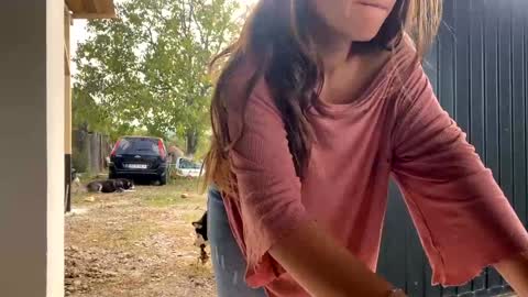 Nicol online show from 09/30/25, 11:48