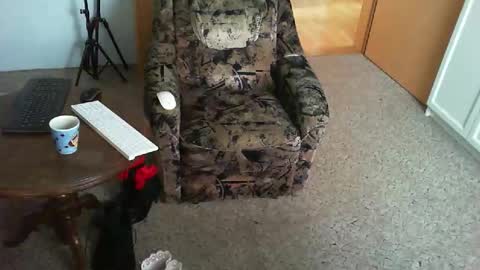 Snapshot of nyloniasau chatting on 11/29/25, 09:01 Strumpfhose online show from 11/29/25, 09:01