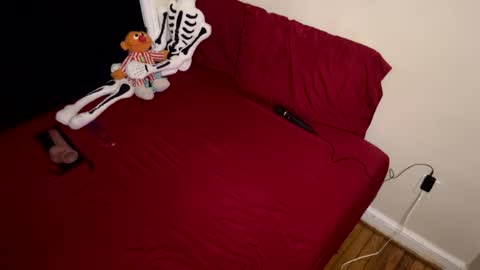 Nymphaea online show from 02/16/26, 11:34