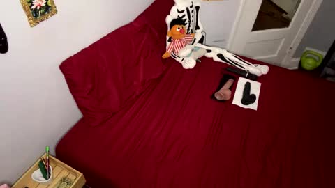 Nymphaea online show from 04/19/26, 10:56