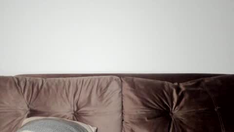 Snapshot of o_r_b_i_t chatting on 01/31/25, 04:06 o_r_b_i_t online show from 01/31/25, 04:06