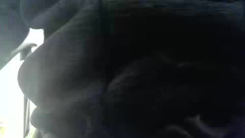 obahiro823844 online show from 12/17/25, 12:55