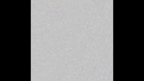 Obsidian stallion online show from 10/09/25, 02:53