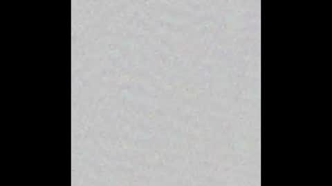 Obsidian stallion online show from 11/17/25, 04:57