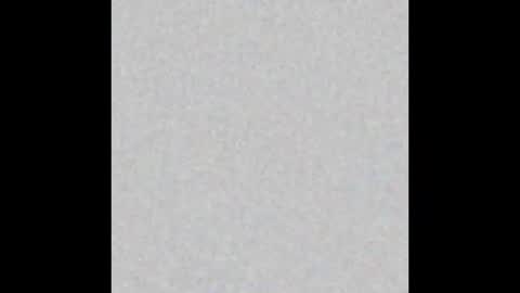 Obsidian stallion online show from 01/12/26, 11:43