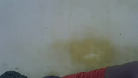 Paloma online show from 05/16/26, 11:46