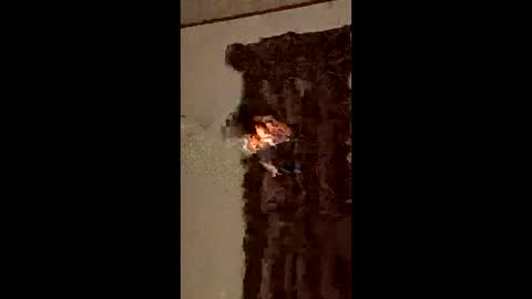 ocnyrmvntufr online show from 06/07/26, 04:49