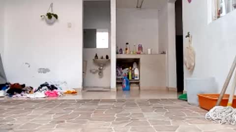 Val online show from 10/22/25, 08:52