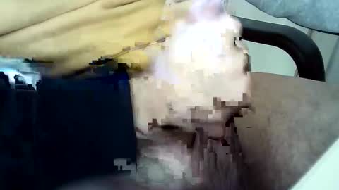 officersex y online show from 11/23/25, 01:33