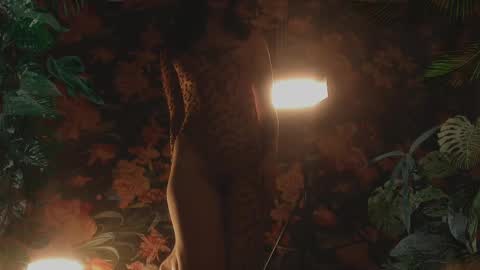 your dear Lilith Chapman online show from 02/17/25, 11:09