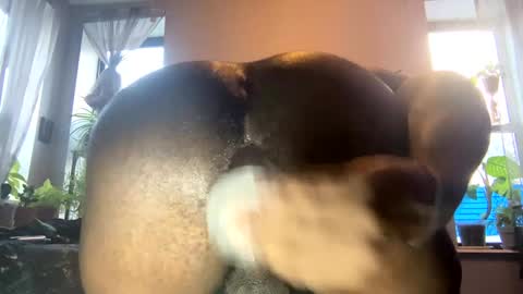 bbygtbckkk online show from 01/03/25, 08:54