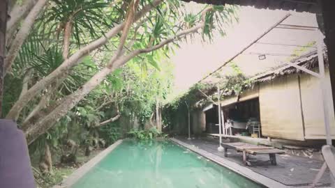 Mo online show from 11/18/25, 01:55