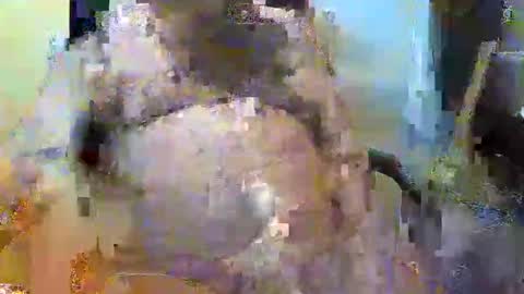 Snapshot of oily27 chatting on 11/02/25, 05:26 William online show from 11/02/25, 05:26