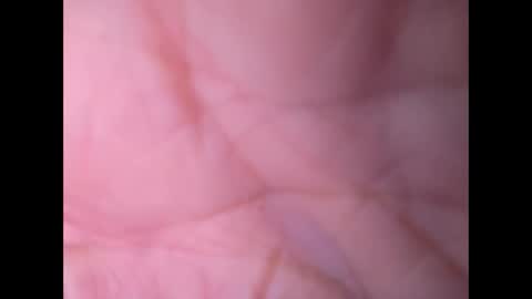 oldaddy2 online show from 09/21/25, 07:10