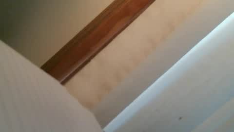 olddognewtrickss online show from 09/11/25, 08:42