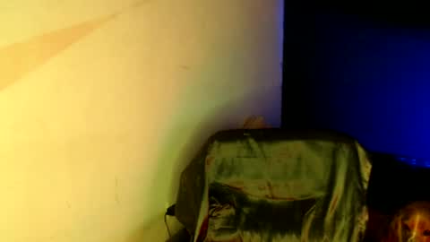 oliver_laid_2023 online show from 01/18/25, 05:48