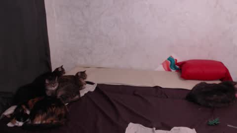 Olivia online show from 02/04/26, 03:12