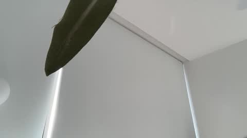 Olivia Brookes online show from 12/04/25, 07:55