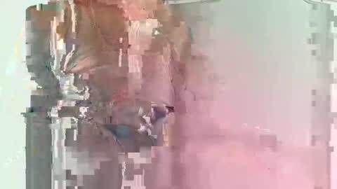 olover online show from 03/01/25, 11:39