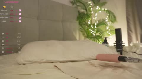 Lily dont forget to follow me  good to see you all online show from 02/22/25, 10:20