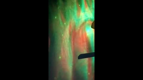 Dumbass Im done online show from 03/02/26, 10:22