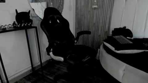     ... online show from 05/19/26, 01:56