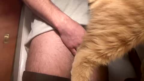 onedayonedollar online show from 02/25/25, 12:34