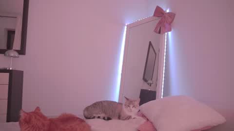 Ariel online show from 02/17/26, 10:27