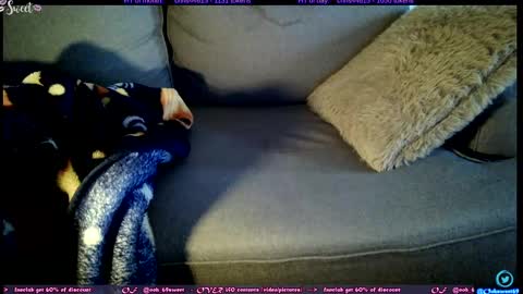  OF - Ooh 69sweet SNAP4LIFE OFFLINE  899 normal  VIP 1369 outside  online show from 11/05/25, 01:00