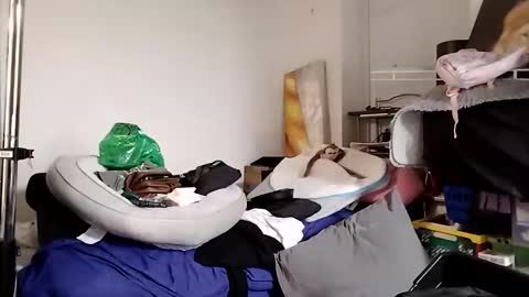 TsJojo online show from 12/01/25, 09:36