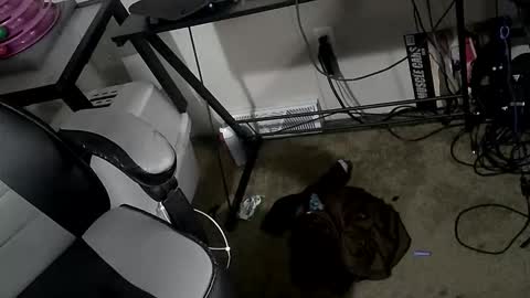 orgasmgiver9090 online show from 03/20/26, 07:52