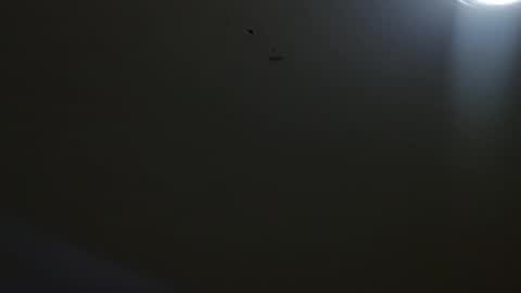 Snapshot of oriana_111 chatting on 05/04/26, 11:28 oriana_111 online show from 05/04/26, 11:28