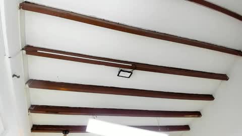 Miss Guzman  online show from 02/04/25, 08:49