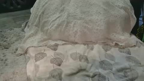 originalcali95 online show from 03/15/26, 12:38