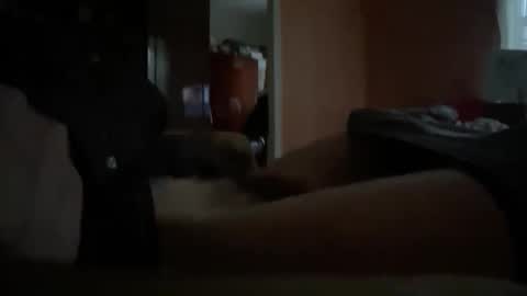 Snapshot of originreal chatting on 12/16/25, 09:58 originreal online show from 12/16/25, 09:58