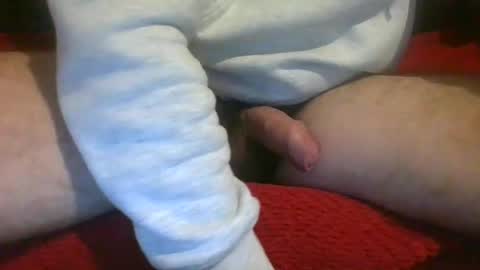 ornytologist online show from 12/07/24, 09:39