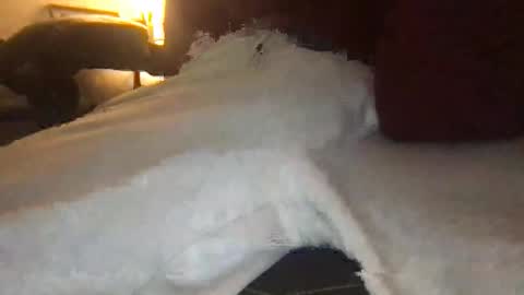 orvillewhitencocker online show from 03/23/26, 11:20