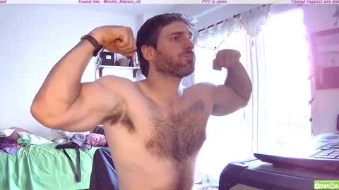 Osito Blanco online show from 11/13/25, 08:19