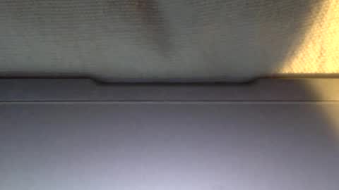 Snapshot of ottodick chatting on 01/21/25, 04:05 Otto online show from 01/21/25, 04:05